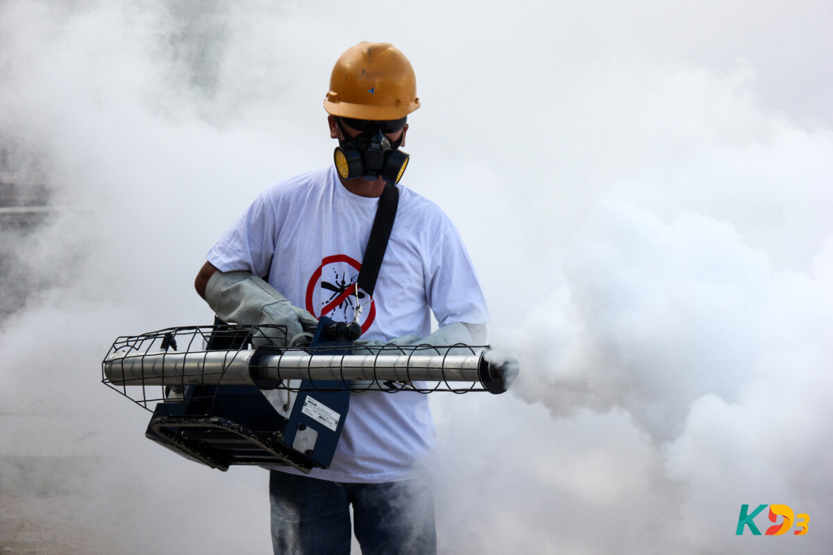 Zika vírus africano pode provocar nova epidemia no Brasil. Saiba como se preparar