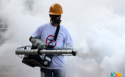 Zika vírus africano pode provocar nova epidemia no Brasil. Saiba como se preparar